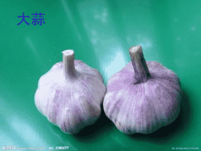 184506o6zzcrbjaj6ajzga.gif