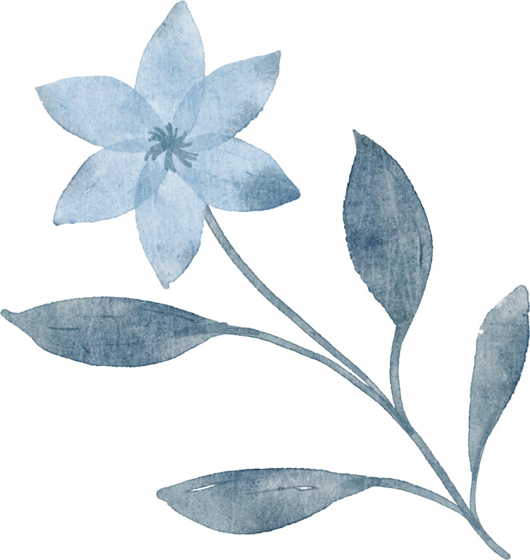195955jqqqqq34490izm4q.png