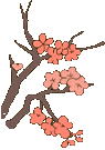 190157jiwim5389q815me7.gif