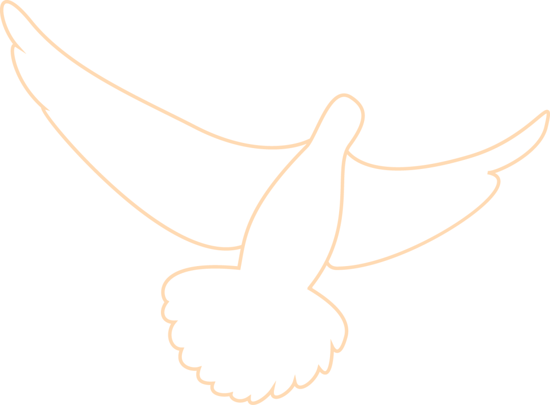 183128l9z19z448kdtrdwc.png