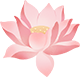190255po8mtlairizzot6i.png