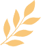 165131rvkx5xxaul3a3axa.png