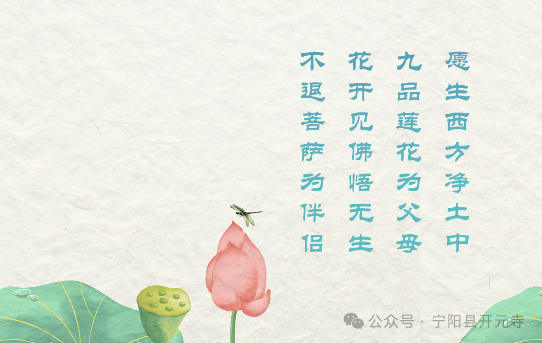 165313xxncx7xrr9h66978.png