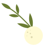 193559tno3gsg4j1dbzs4r.png