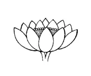 185944rxwm2ic999ehu9je.png