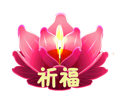 185353wo0cm0t3r8zo8i3p.gif
