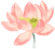 185857sy6gj3qqxwzdwz63.png