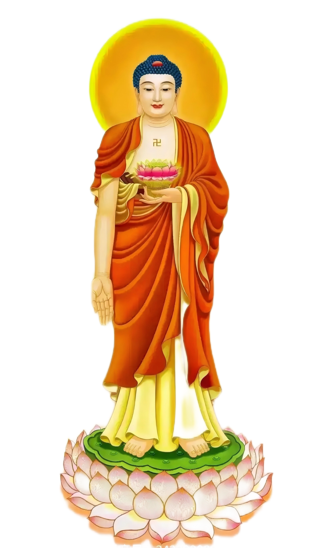 202308z96u34q1celvm1mm.png