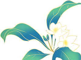 190853cj9d1a1soas8x2sz.png