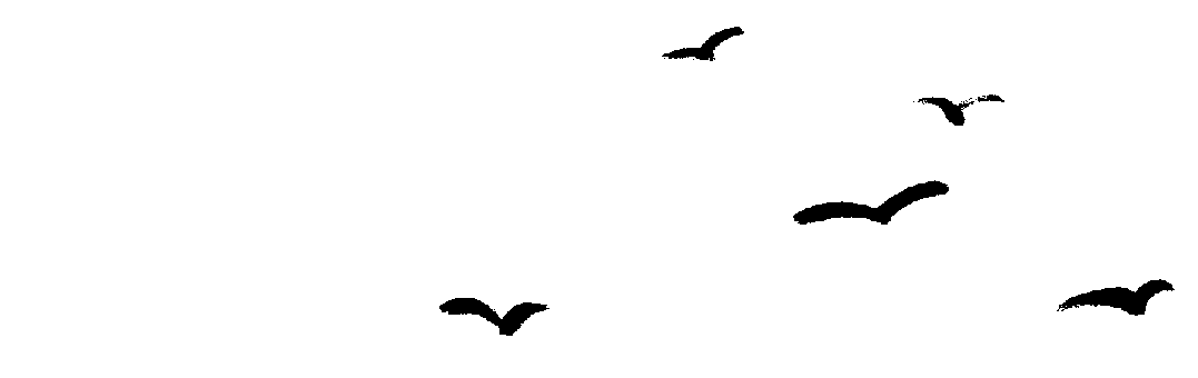201605o26b1nn5bjjdj1ox.gif