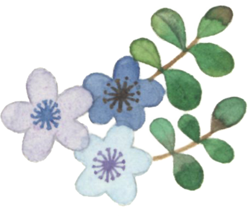 190343sqzpgttcjdcxdqj9.png