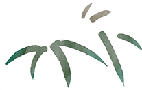 190843r8e1xaae171x1pph.png