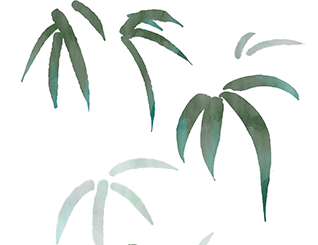 190844mtl7hdhjooy2no3s.png