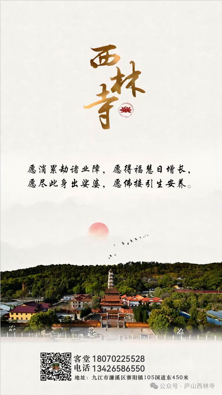 181502li54q5mx4mixczh5.png