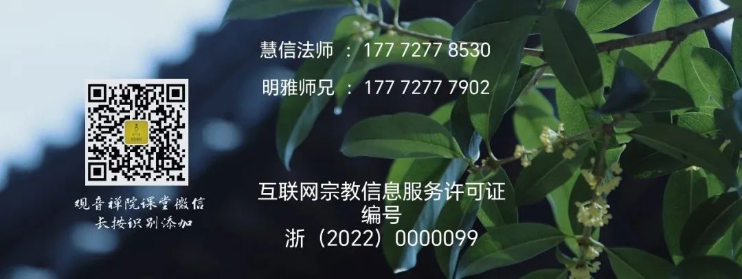 182319zkf1xk50ty3mp3mm.jpeg