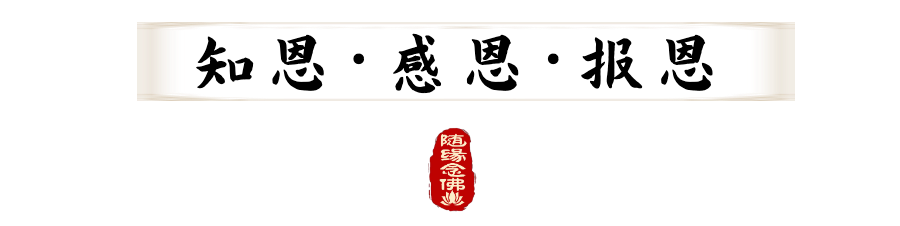 183545a5q3rx28xu9u25rt.png