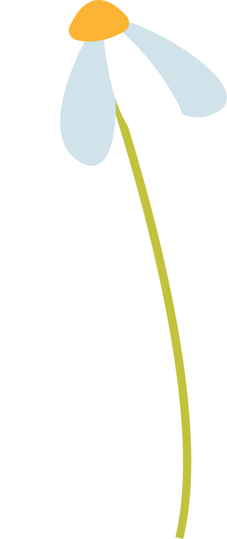 194915f11z51fl9h9745w4.png
