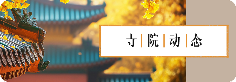 195054b8ozb313f3fzn038.png