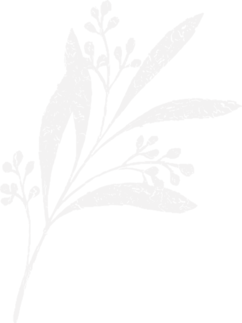 200958q1ppccwew1xx9wpf.png