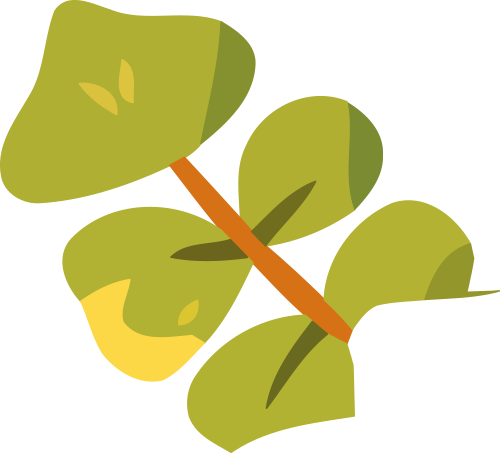 192834wbt13959su133b53.png
