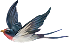 193650kt3p9f3wfpkv81gw.png