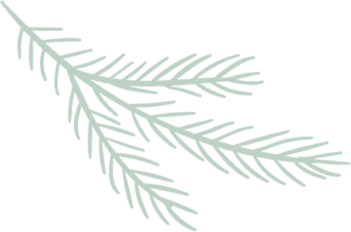 193651q733t8rzt3m7tp2m.png