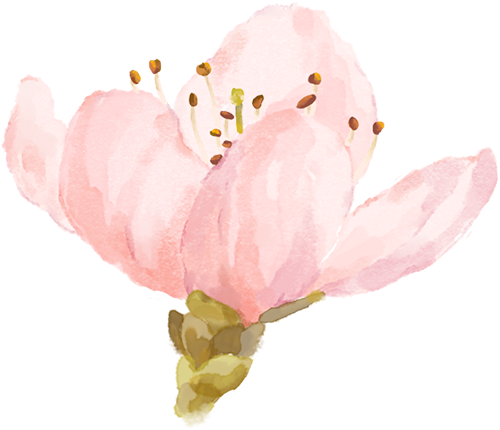 192846dg7xvggffvx4b447.png
