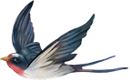 192846xyejjcvvinvrc44c.png