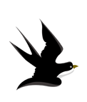 193613brjxk99kvjrtt2pf.gif