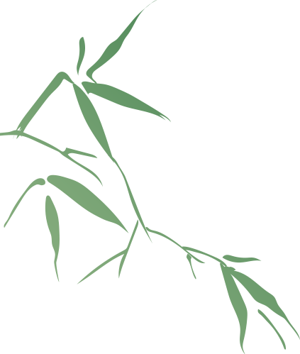 192509d6mqp8q9yvvaz29y.png