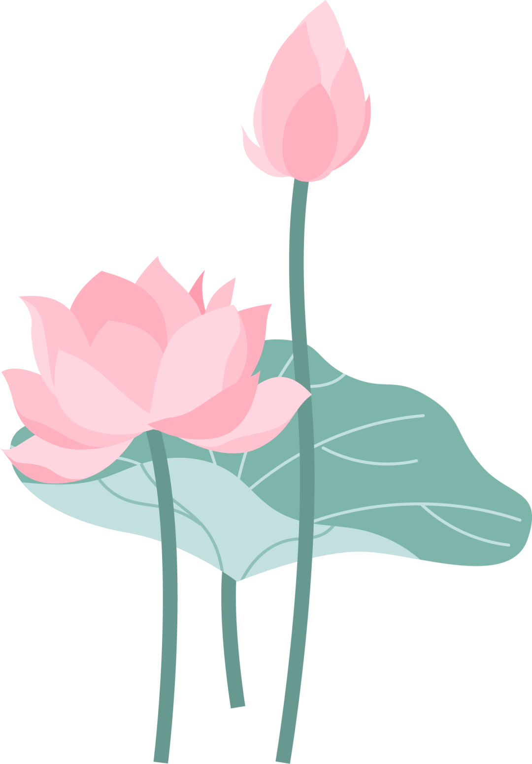 200827zpy0pyty5ll88ji8.png