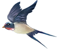 201417icaz2baz5vo5eczx.png