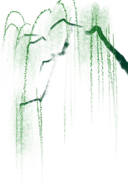200024yaqknbyhdfqdkxkz.png