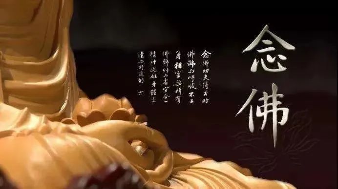 200428hk5jkn3giyjc3i4j.jpeg