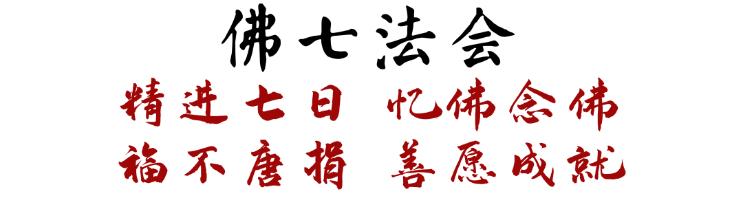 200428v302z0f1r703f376.png