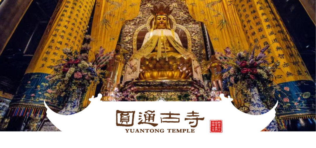 191245lizgetl855rfgkw5.png