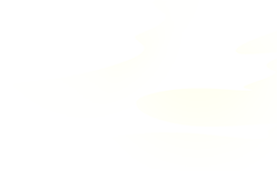 193346mta3p3474afsiaip.png