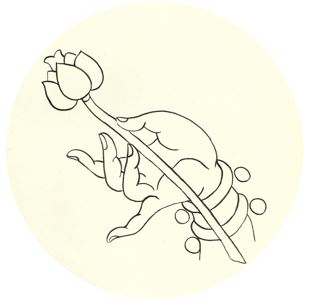 201938by4pqlzyt46myf4y.png