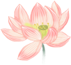 192811qr07m7mmsds0l1lr.png