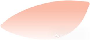 195017xv6gggo266nxrn08.png