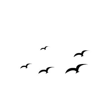 190209n36ijgj0e21gljgi.gif