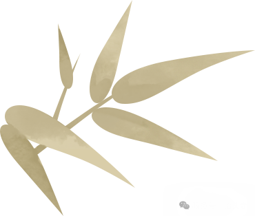 190210c4aa5420odwi27wi.png