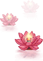 194307k3o2bgbo69oocy9y.png