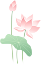 192347srn4z437ttfxn7nf.png