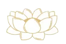 192454lzc99eeh5n5n17ev.png