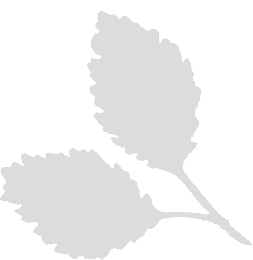 192531xj713j83rf9ffqr6.png