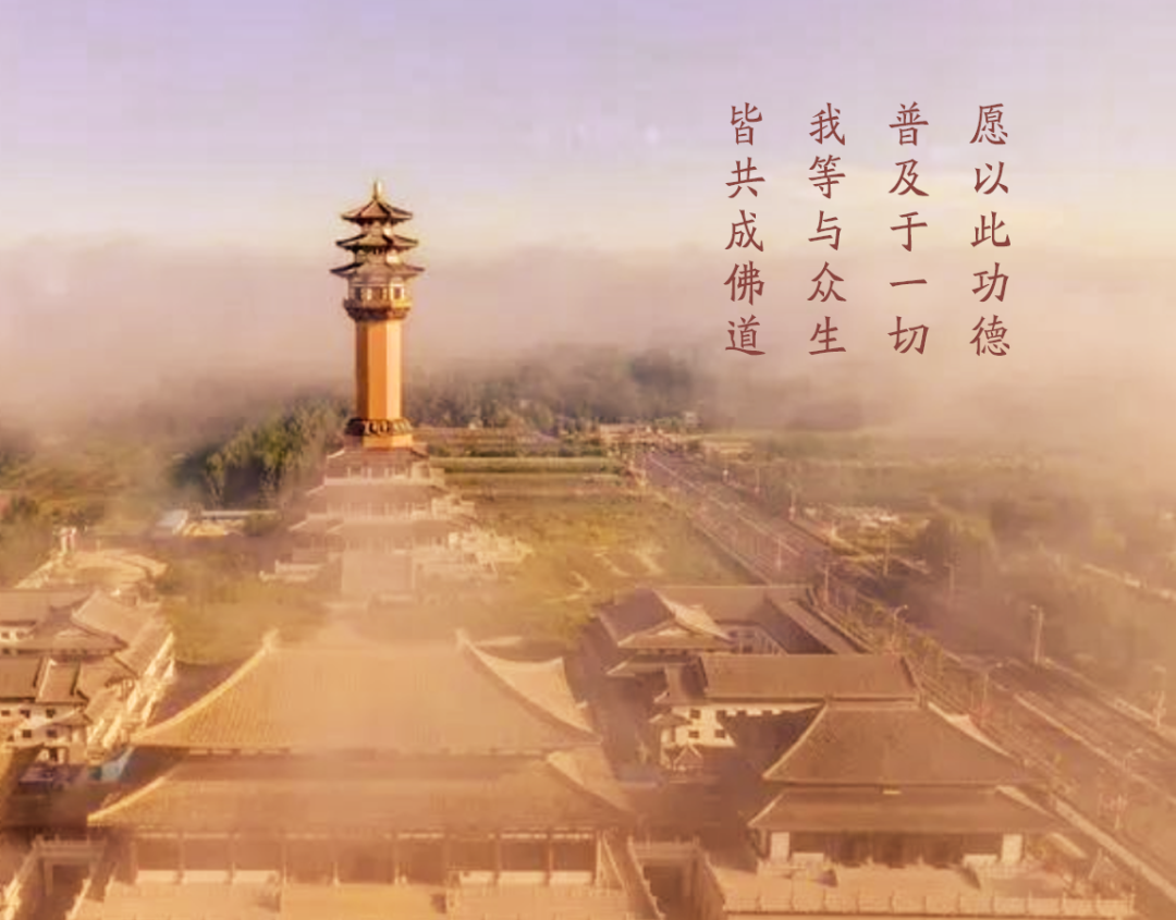 203032dvzzuzn2ml22sqzb.png