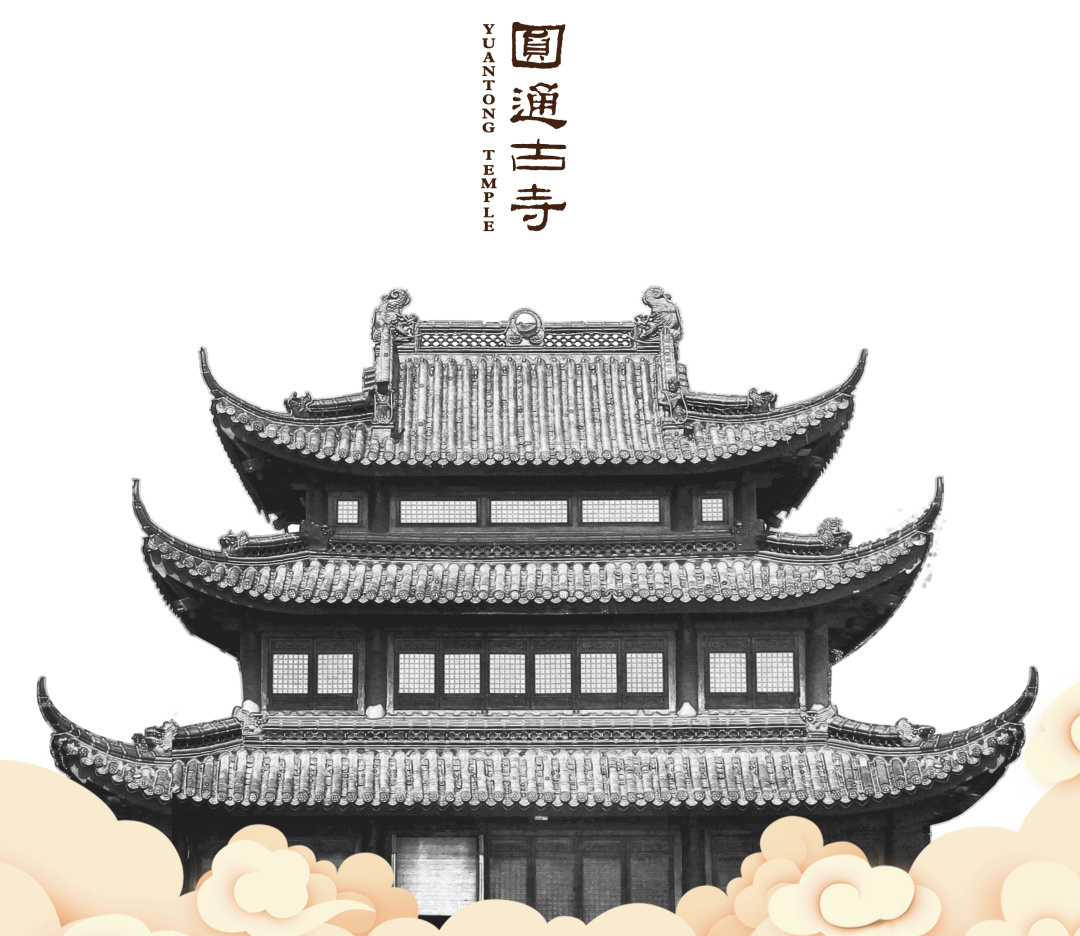 191117b4plizlg7rea6467.png