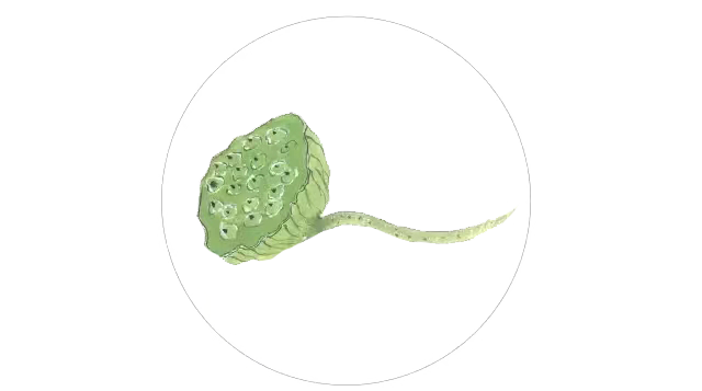 191117mqph6nanlrrrpwur.png