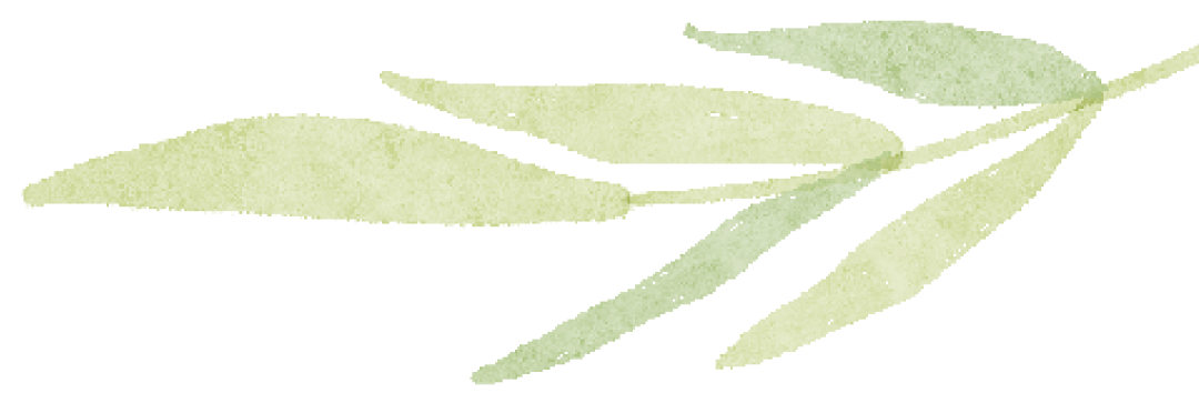 183149cx7giuwshgssxw76.png